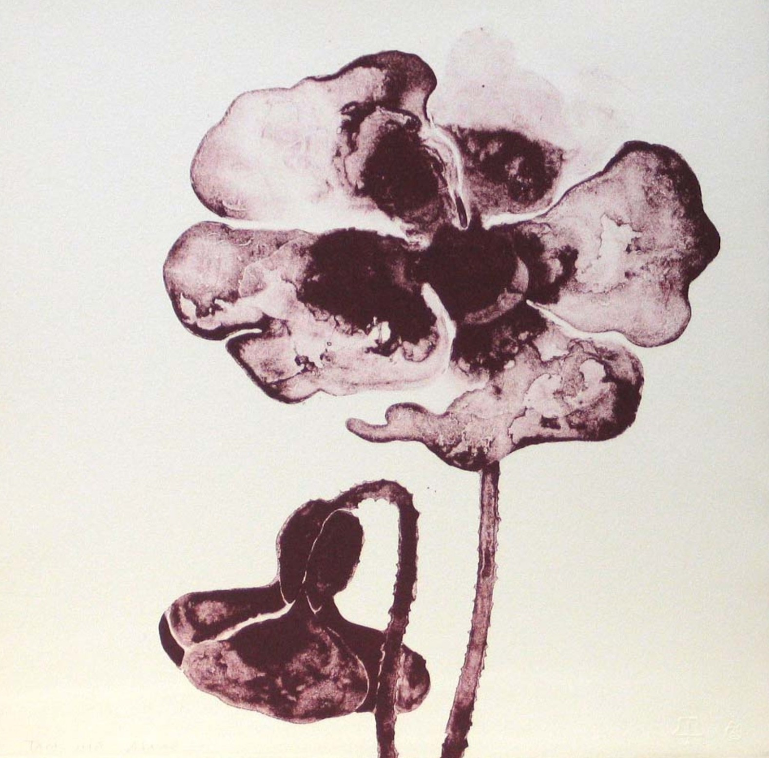 Ruth Asawa. Sin título de Flores. 1965. Una litografía de un portafolio de doce (incluida la portada y el colofón). Tamarind Lithography Workshop, Inc., Los Ángeles. prueba fuera de la edición de 20. Donación de Kleiner, Bell & Co. © Estate of Ruth Asawa.